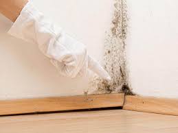 Best Mold Remediation for Healthcare Facilities  in Oregon, WI